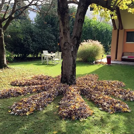 Bed & Breakfast Casa Lo Cesena