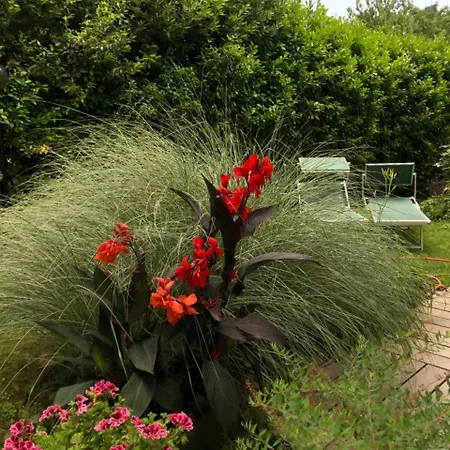 Casa Lo Bed & Breakfast Cesena