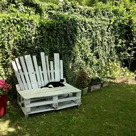 Bed & Breakfast Casa Lo *