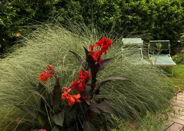 Casa Lo Bed & Breakfast Cesena